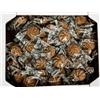 Generico Dessert Caffè Monoporzione Biscotti Snack Dolci Incartati Singolarmente Varianti 1Kg E 2Kg Dolcetti Al Caffè Per Colazione Buffet Hotel Bar Ufficio (Monoporzione 1Kg)