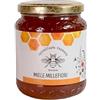 Apicoltura Varacca Miele Millefiori 1000 g, miele italiano naturale non pastorizzato, gusto equilibrato, ideale per colazione, dolci, yogurt e uso quotidiano