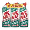 Wc Net - Disincrostante Disinfettante Gel per Sanitari e Superfici, Pulitore Liquido per Wc, 700 ml x 3 Confezioni