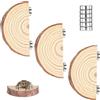 Azttior Set di 3 Piattaforme Magnetiche da Arrampicata per Ragno Saltatore in Legno Naturale - Piattaforme Semicircolari, Accessori per Terrario, Aiuto Arrampicata Riposo Decorazione, 4-5 cm