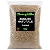 CLOROPHILLA Zeolite Naturale 2-4 mm Premium Quality - Substrato Minerale Vulcanico Naturale per Piante, Bonsai, Succulente e Orto - Alta Porosità e Drenaggio Professionale (10 Litri)