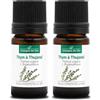 La Compagnie des Sens TIMO AL TUJANOL BIO - 5mL - Olio Essenziale di Qualità Premium - 100% Puro, Naturale, garantito ChromaCert® - Chemotipizzato & Integrale (Confezione da 2)
