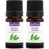 La Compagnie des Sens VERBENA ESOTICA (Litsea cubeba) BIO - 5mL - Olio Essenziale di Qualità Premium - 100% Puro, Naturale, Garantito ChromaCert® - Chemiotipizzato & Integrale (Confezione da 2)