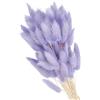 PATIKIL Bunny Tails Fiori Secchi 15.7in, 70pcs Coda di Coniglio Naturale Soffice Finta Essiccata per Decorazioni Casa Boho Vasi Matrimonio, Viola