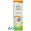 Guna Fiori Di Bach Gorse Accoglimento Gocce 10 Ml