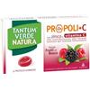 Tantum Verde Natura Frutti di Bosco Integratore Mal di Gola 15 Pastiglie