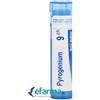 Boiron Pyrogenium 9 CH Rimedio Omeopatico Ad Azione Antibiotica 4 G