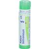 Boiron Kalium Bichromicum 5CH Granuli Tubo