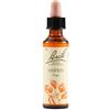 Fiori di bach Schwabe Fiori di Bach 02 Aspen Gocce 20 ml