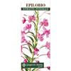 Dottor Giorgini Dr. Giorgini Epilobio Estratto Integrale Integratore Per La Prostata 200 ml