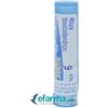 Boiron Rhus Toxicodendron 9CH 80 gr 4 g
