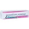 Boiron Homeoplasmine Rimedio Omeopatico per Irritazione Mucosa Nasale 40 g