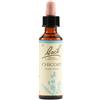 Fiori di bach Schwabe Fiori di Bach 08 Chicory Gocce 20 ml