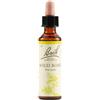 Fiori di bach Schwabe Fiori di Bach 36 Wild Rose Gocce 20 ml