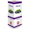 Kos Ribes Nigrum Macerato Glicerico Gocce 100 ml
