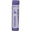 Boiron Colocynthis 30CH Granuli Tubo