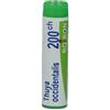 Boiron Thuya Occidentalis 200CH Globuli Tubo
