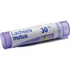 Boiron Mutus 30CH Granuli Tubo