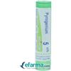 Boiron Pyrogenium 5CH Granuli Tubo