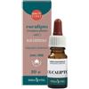Erba Vita Olio Essenziale Eucalipto Integratore Balsamico Per La Gola 10 Ml