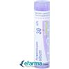 Boiron Arsenicum Album 30CH Granuli Tubo