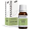 Pranarom Lavanda Spica Bio Olio Essenziale Per Punture di Zanzare e Insetti 10 ml