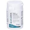Aurora Biofarma Kanadol 30 Compresse Integratore PEA e Canapa Dolore Articolare e Nervoso