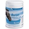 Candioli Mangime Complementare Cavalli Con Arthrospira Supporto Respiratorio 700 g