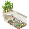 Generic Serbatoio per tartarughe | Habitat delle tartarughe - Scatola di allevamento trasparente con palcoscenico crogiolante per anfibi, pesci, piccoli animali domestici, granchi, rettili, gechi