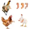 Fukaisu 3pz Borraccia di Pollo, Muscoli Forti e Pollice in Su e Braccia di Dinosauro T-Rex da Mettere Sui Polli Divertente Costume per Animali Domestici per Feste Servizi Fotografici Scherzi