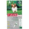 advantix molto piccolo cane - 1,5 A 4 kg - 4 pipette
