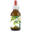 SPAZIO ECOSALUTE Srl Neem olio 100 ml foglie