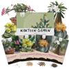 HAPPY SEED Semi di cactus esotici con alto tasso di germinazione - Set di semi succulenti per il tuo bel cactus fiorito (set di 4 semi mix)