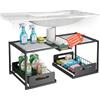 Avilia Organizer Sottolavello Cucina e Carrello Sottolavello, Espandibile 65-73 cm - Scaffale Sottolavello Cucina, Bagno e Lavanderia - Acciaio con 2 Cassetti Estraibili