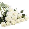 CHAOTEMAI 12 Pezzi Rose Artificiali, Rose Rosse Artificiali in Seta Bouquet Fiori Finti di Rosa con Steli Lunghi per San Valentino Composizioni di Nozze Casa Giardino Partito Decorazioni (Bianco)