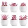 Der Rose Set di 6 piante grasse artificiali in vaso, piccole piante finte per camera da letto, soggiorno, ufficio, mensola bagno, decorazione