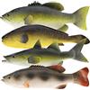 Gresorth 4 PCS Falso Pesce Ornamento Artificiale Cibo Modello Decorazione Casa Giardino Cucina Acquista Realistica Appeso