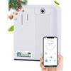 Mxmoonant Diffusore di Oli Essenziali senza Acqua con Nebbia Fredda, Copertura 300-500m³, Bottiglia di Olio da 300ml, da Parete, App Control&Timer, per Palestra, ristorante, Negozio, Hotel