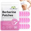 LEISGOTO I cerotti di berberberina con estratto di cannella e berberina supportano il metabolismo dello zucchero, aiutano a frenare l'appetito e rafforzare il sistema immunitario - 30 cerotti (scorta mensile)