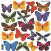Sospeso Trasparente 3 Pezzi di Pellicola Standard Serie 3/01 Modello Butterfly. Atossica certificata. Modellabile a Basse Temperature. per Decorazioni 3D Effetto Vetro e Splendidi Accessori Moda