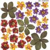 Sospeso Trasparente 3 Pezzi di Pellicola Standard Serie 1/09 Modello Wild Flowers. Atossica certificata. Modellabile a Basse Temperature. per Decorazioni 3D Effetto Vetro e Splendidi Accessori Moda