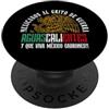 Aguascalientes State Matching Family Vac Mexican Souvenir México Vacation PopSockets PopGrip Adesivo