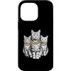 Cool 3 Hip Hop Trio Street Gold Chain Fu Custodia per iPhone 14 Pro Max Tabby Cat Rap Old School Retro Streetwear anni '80 '90 Tre