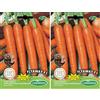 Germisem Flyaway F1 Carota 100 Semi (Confezione da 2)