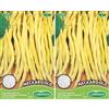 Germisem Neckargold Semi di Fagiolo Rampicante 100 g (Confezione da 2)