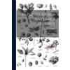 Pliny Pliny C. Plinii Secundi Naturalis Historia; Volume 6 (Tascabile)
