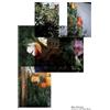 S*an D Henry-Smith Mary Manning: Grace Is Like New Music (Tascabile)