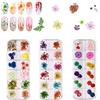 Ikruidy Nail art fiori secchi 3 scatole 36 colori Applique per unghie 72 pezzi 3D Adesivi per decorazione fai da te nail art