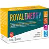 ERBA VITA Royal Energy integratore alimentare di Pappa Reale ideale per un sostegno tonico-energetico e ricostituente, 10 flaconcini (Confezione da 2)