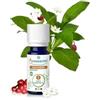 Puressentiel Olio Essenziale di Gaultheria - Contribuisce al benessere muscolare - 100% Puro - Botanicamente e Biochimicamente Definito - Agricoltura Biologica - Vegan e Cruelty Free - 10 ml